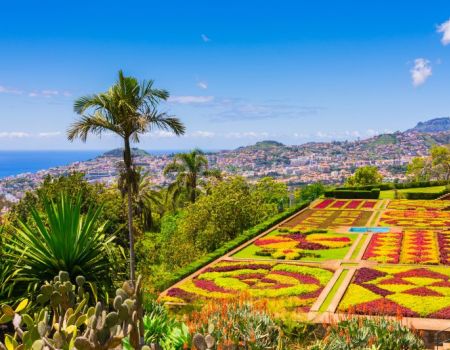 Kleurrijke tuin in Madeira